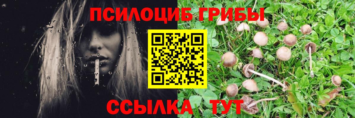 Ялта  ГАШИШ  Конопля  Мефедрон   Вход с VPN  ГАШИШ  ТГК 