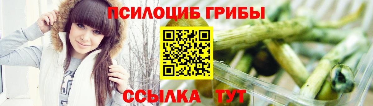 как найти закладки  Вход с VPN  Галлюциногенные грибы MAGIC MUSHROOMS  Ялта  Галлюциногенные грибы Psilocybine cubensis 